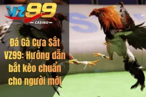 Đá Gà Cựa Sắt VZ99: Hướng dẫn bắt kèo chuẩn cho người mới