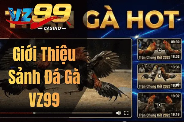 Giới Thiệu Sảnh Đá Gà VZ99
